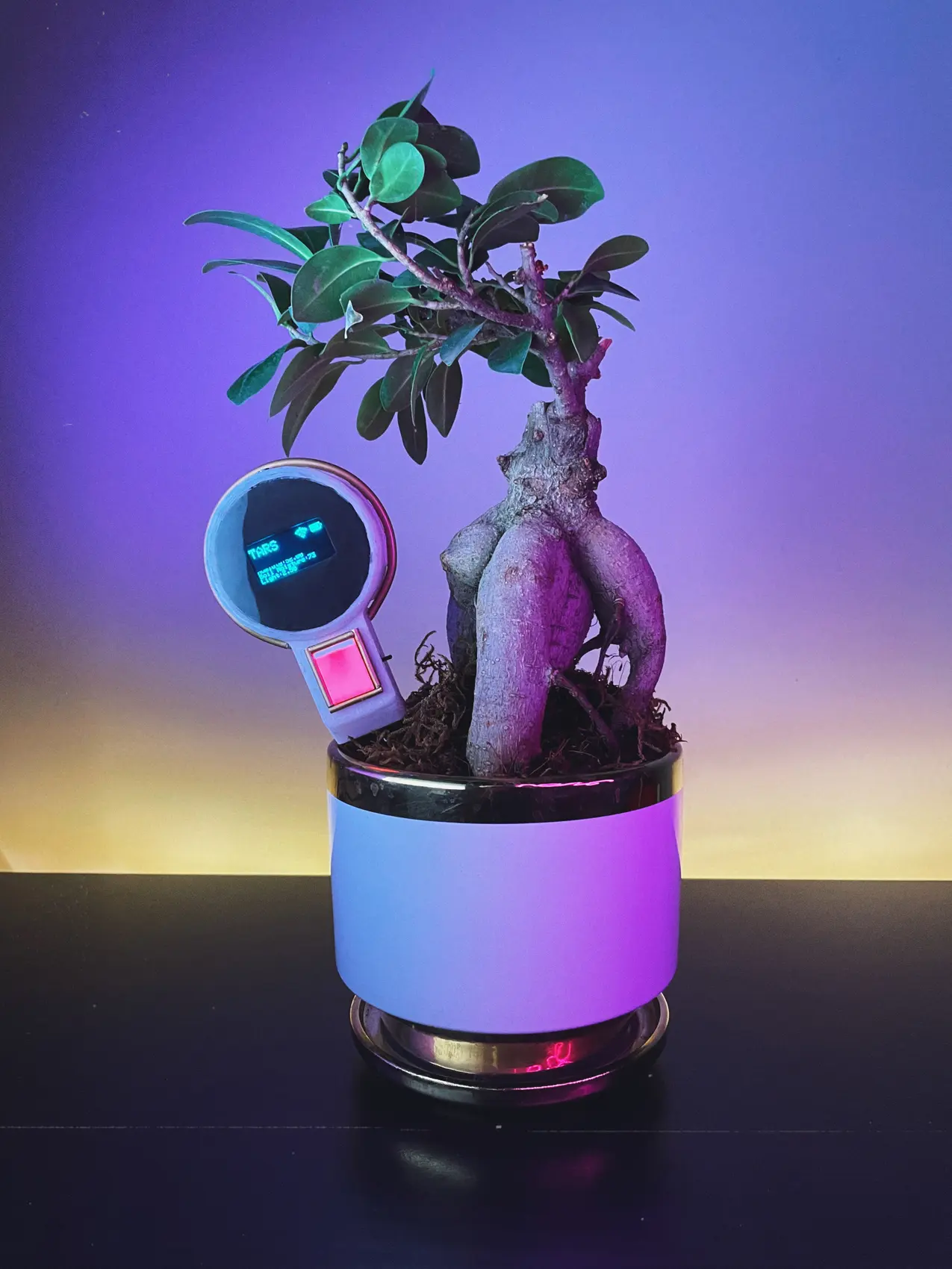Tars Portable inserted beside a bonsai plant