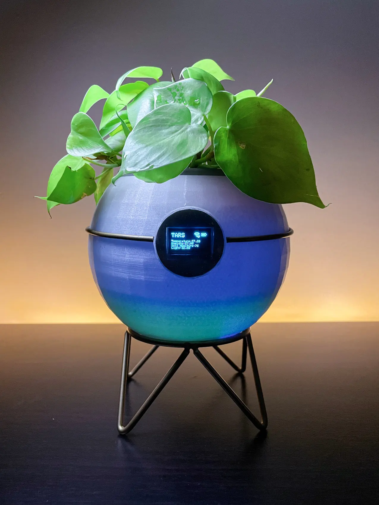 Tars smart planter with live sensor readings on its OLED display